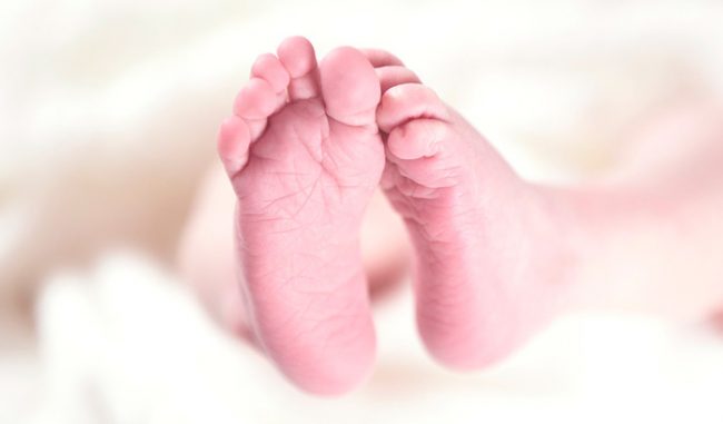 Psico Ayuda Infantil - Desarrollo del niño: 0-2 años