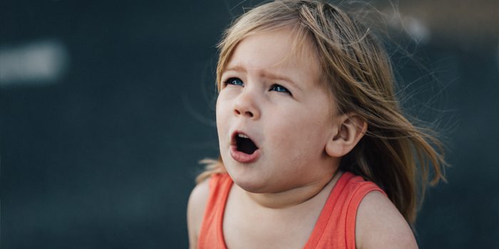 Psico Ayuda Infantil – La ecolalia en niños Psico Ayuda Infantil - La ecolalia en niños